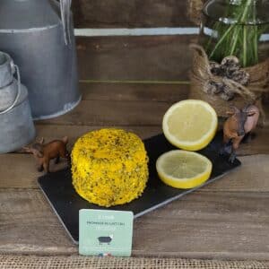 Chèvre enrobé poivre vert et citron