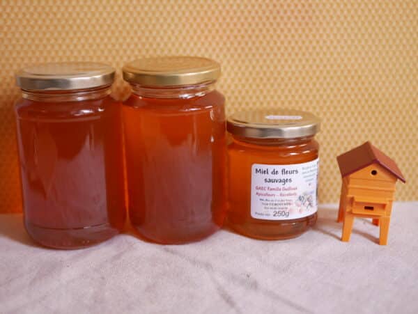 Miel de fleurs sauvages